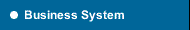 Business System