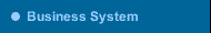 Business System