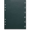 Telephone/Address Dividers